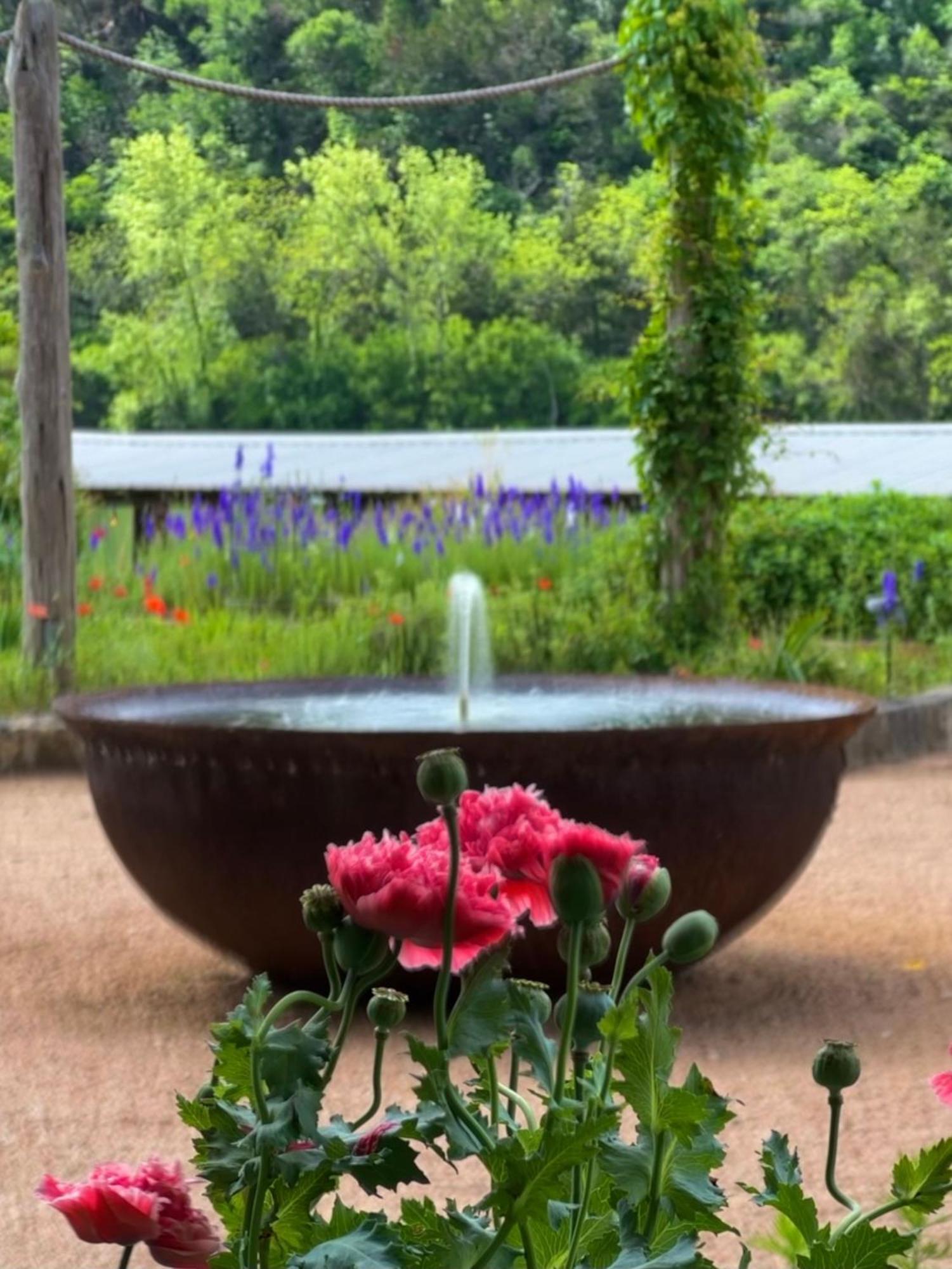 Lake Austin Spa Resort Exterior foto
